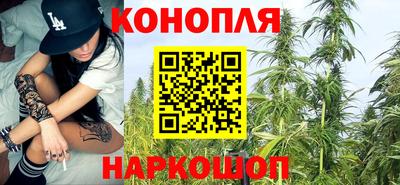 крисы Сланцы