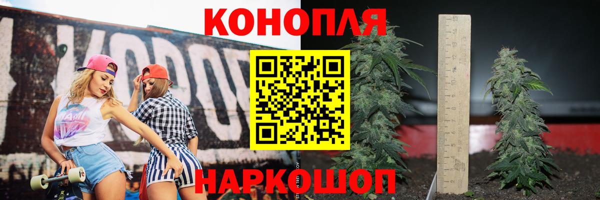 Каннабис OG Kush  Вход с VPN  Псков  МАРИХУАНА ГИДРОПОН 